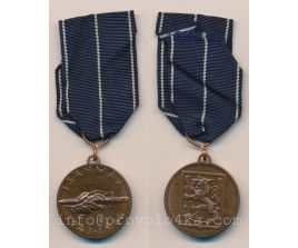Медаль на ленте, Isänmaa 1941-1945, 2N